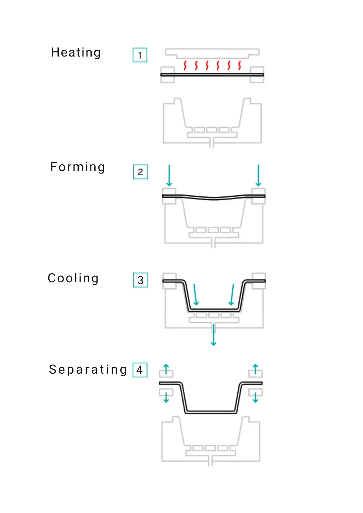 Thermoforming Process