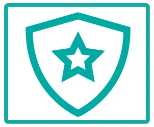 Schild Icon